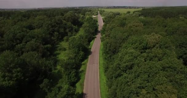 Luftaufnahme auf einer kleinen Forststraße — Stockvideo