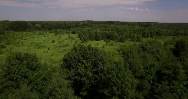 Piękne zielone pola i lasu widok z lotu ptaka — Wideo stockowe