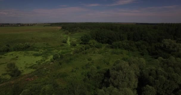 Widok z lotu ptaka krajobraz piękne lato — Wideo stockowe