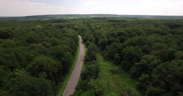 Schöne Waldlandschaft Luftaufnahme — Stockvideo