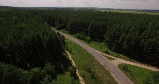 Diepe woud landschap-luchtfoto — Stockvideo