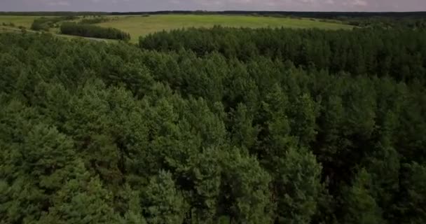 Beau paysage forestier vue aérienne — Video