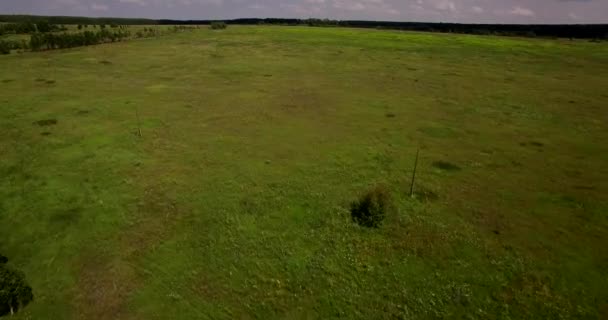 Widok z lotu ptaka krajobraz rozległe pola — Wideo stockowe