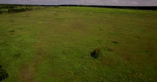 Stort fält landskap Flygfoto — Stockvideo