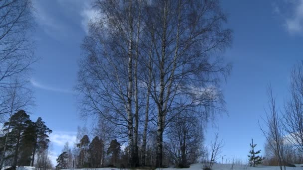 Belle russe hiver paysage vidéo — Video