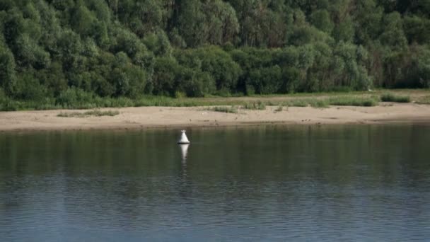 Břeh řeky s bóji na video vody — Stock video