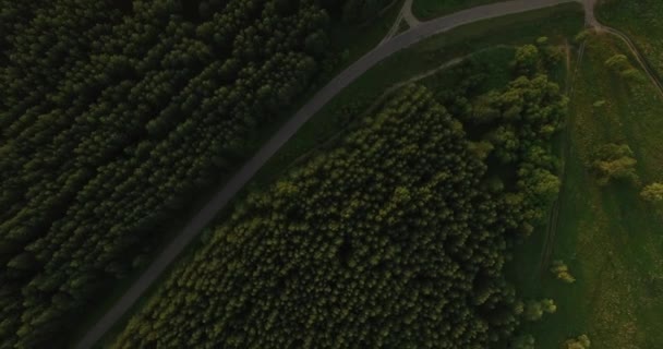 Letecký pohled na tlusté lesa v létě — Stock video