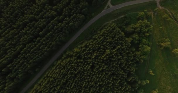 Aerial view of a thick forest in summer — Stock Footage Aerial view of a thick forest in summer Stock Video