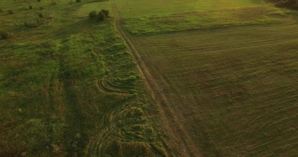 Camino entre el campo vista aérea en verano — Vídeos de Stock