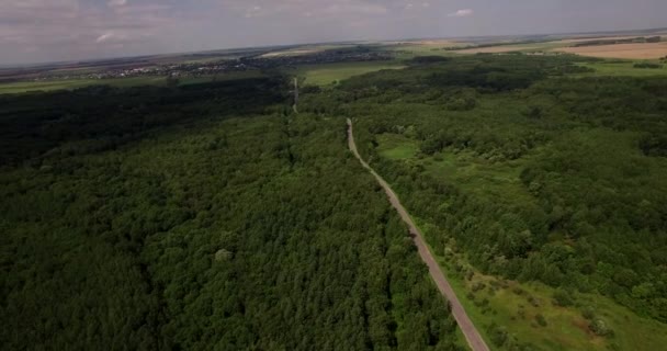 Mély erdő nyáron légifelvétel — Stock videók