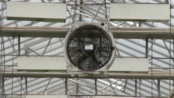 Вентилятор с видом на промышленную теплицу — стоковое видео