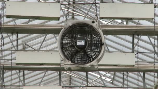 Ventilador em estufa industrial — Vídeo de Stock