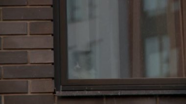 Çok katlı bina penceresi ve cephe videosu