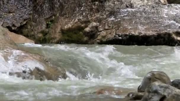 Yazın dağ nehri — Stok video