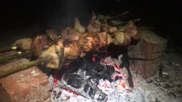 Shashlik em fogo aberto no vídeo da noite — Vídeo de Stock