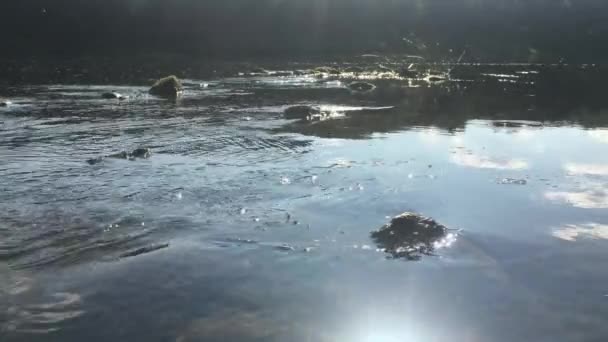 Superficie del agua en un vídeo de día soleado — Vídeo de stock