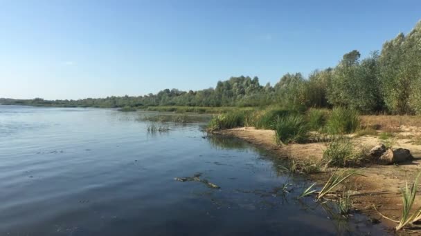 Opuszczony brzeg rzeki na letni film dzień — Wideo stockowe