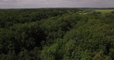 Küçük orman yolu havadan görünümü
