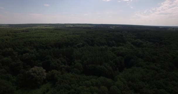 Luchtfoto van een kleine rivier in de zomer — Stockvideo