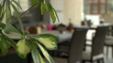 Bir sokak kafesinin odak videosunu değiştirme