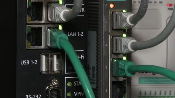 Cabos de computador Lan em vídeo de trabalho — Vídeo de Stock