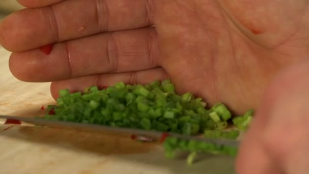 Cooker cutting onion close seup video — стоковое видео