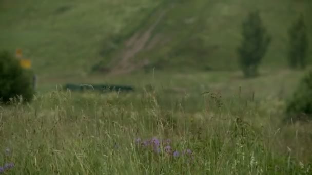 Vallée pittoresque avec de l'herbe sur l'avion avant — Video