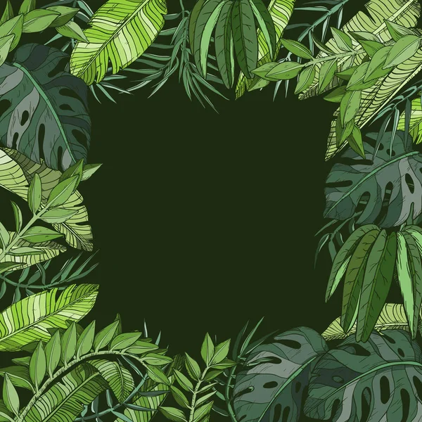 Tropischen natürlichen Dschungel Palmen Hintergrund — Stockvektor