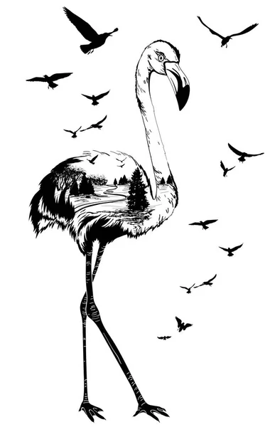 Vector Dobbelt eksponering, flamingo fugl, dyreliv koncept – Stock-vektor