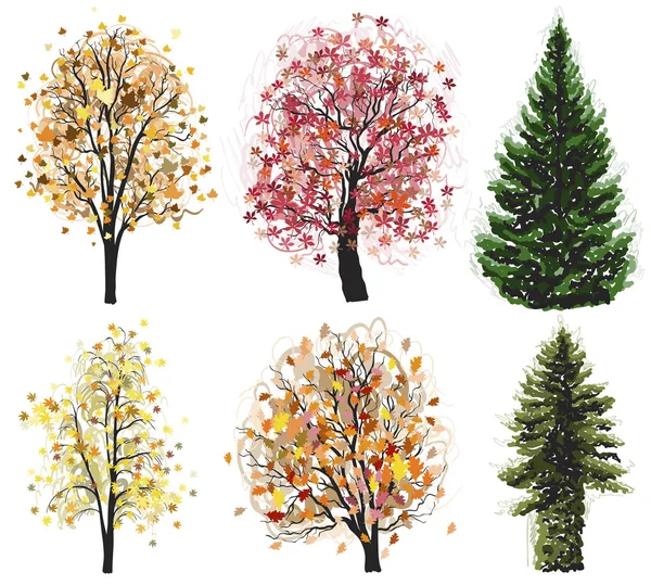 Векторные лиственные и хвойные осенние деревья . — стоковый вектор