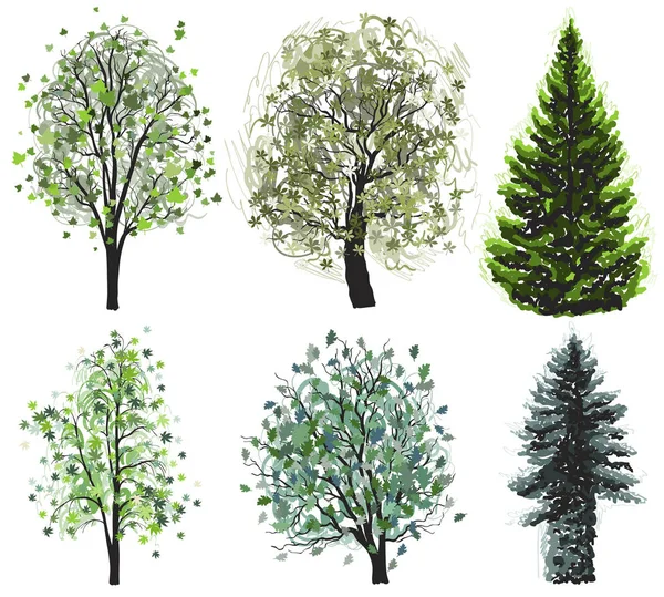 Yapraklı ve iğne yapraklı yeşil ağaçlar ayarlayın. Vektör çizim. — Stok Vektör