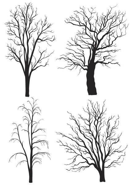 Aantal bomen zonder bladeren silhouetten geïsoleerd op wit — Stockvector