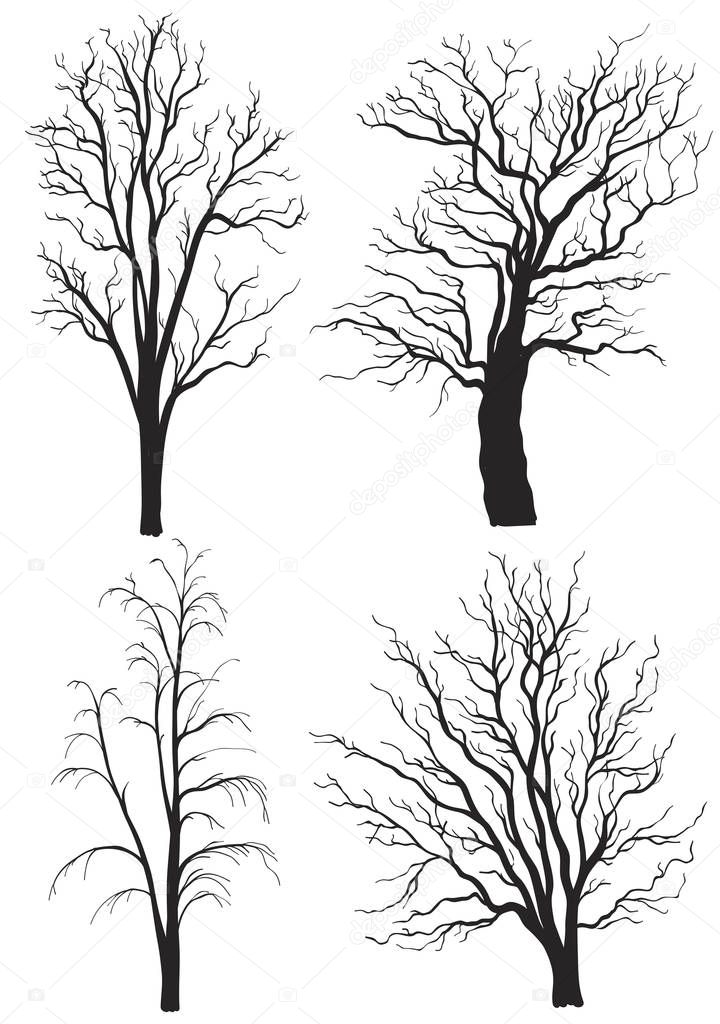 Set of trees without leaves silhouettes isolated on white