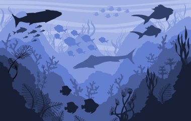 Mercan ve sualtı yaban hayatı, deniz arka plan