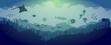 Mavi deniz arka plan üzerinde sualtı resif yaban hayatı