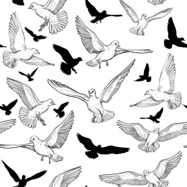 Uçan güvercin ve kuş siluet ile Seamless modeli. Siyah ve beyaz