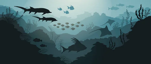 Balık ve deniz yosunu ile mercan ve sualtı deniz arka plan