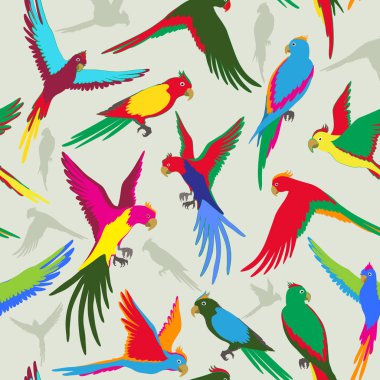 Ormanın renkli papağan ile Seamless modeli