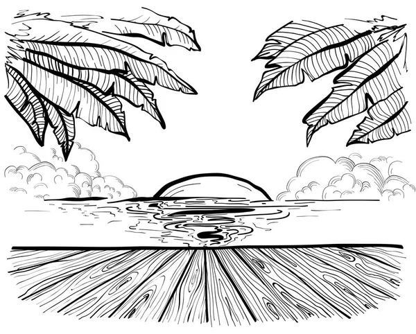 Пляж Пальми Ескіз Літнього Раю Пальмовий Лист Березі Моря Дерев — стоковий вектор