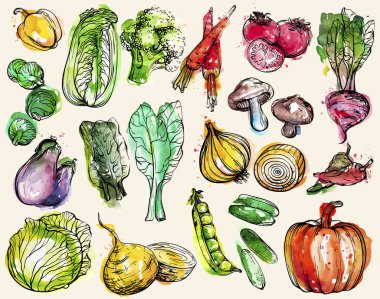Collection of hand-drawn watercolor vegetables clipart