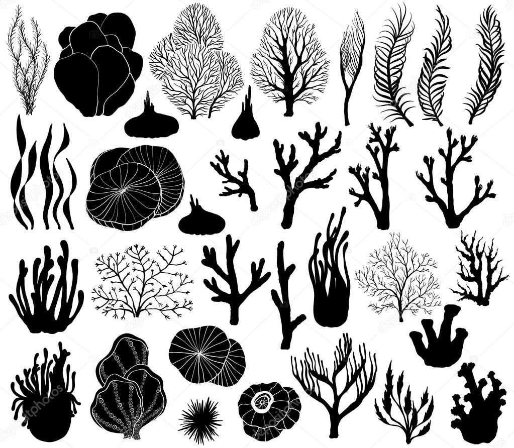 Set of marine corals. Silhouettes