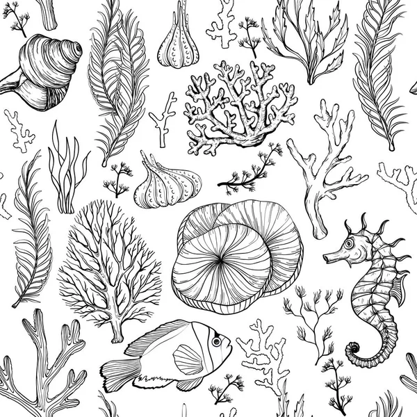 Seamless pattern with marine hand drawn corals. lack and white. — Stock Vector