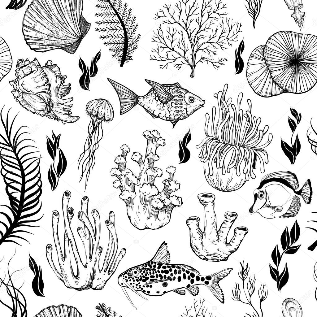 Seamless pattern with marine hand drawn corals. Black and white