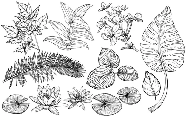 Set branch, bunga dan daun, gambar tangan elemen tanaman untuk kartu ucapan untuk pernikahan - Stok Vektor