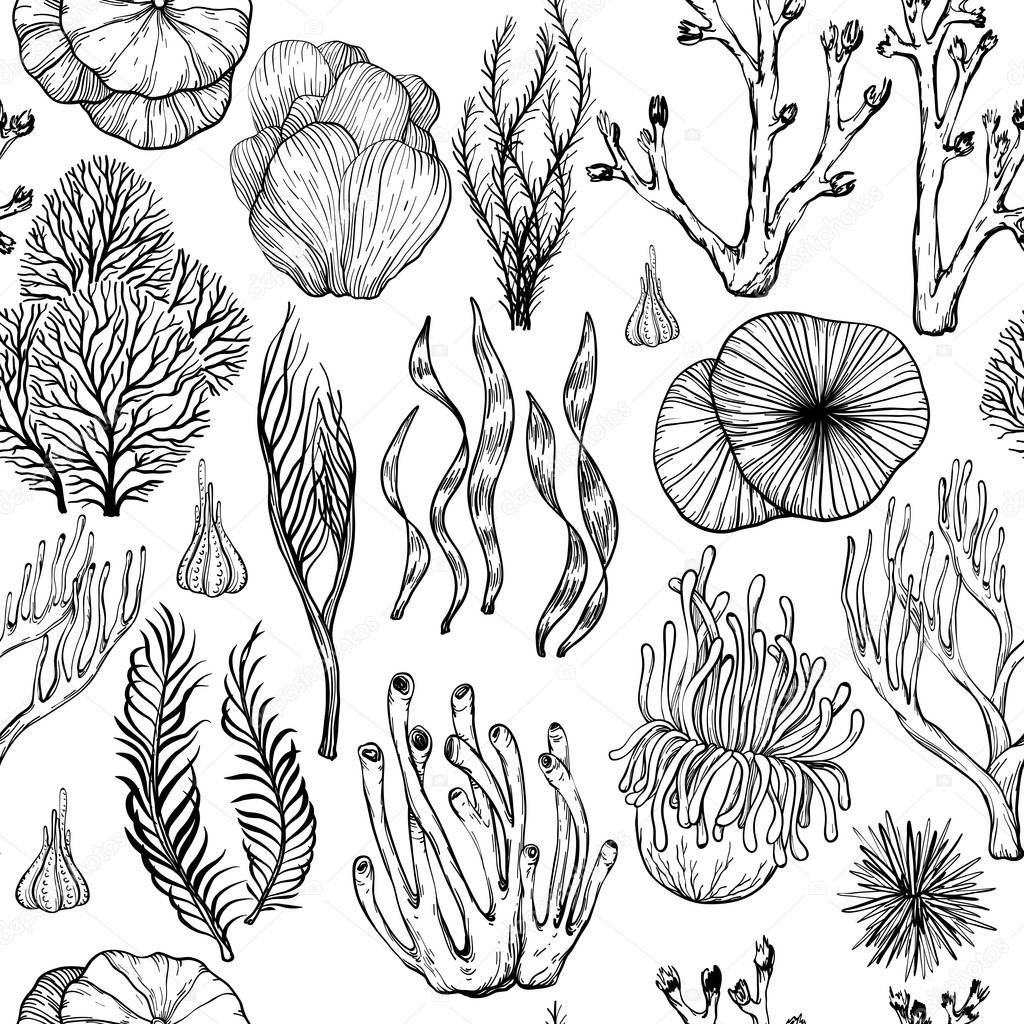 Seamless pattern with hand drawn corals, sea sponges, living organisms. Black and white