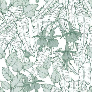 Dikensiz desenli dokuma bitkileri