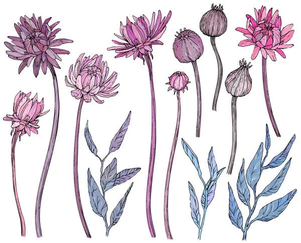 Raccolta di fiori disegnati a mano e brunch. — Vettoriale Stock
