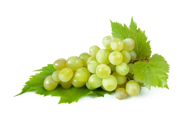 Свіжі Зелені Гілки Винограду Ізольовані Білому Тлі — стокове фото