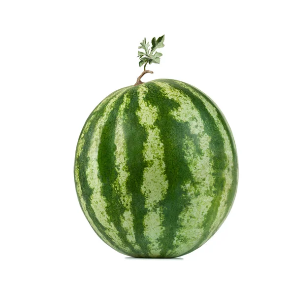 Watermelon Isolated White Background Ripe Fruit Leaf Stalk — Stock Photo, Image