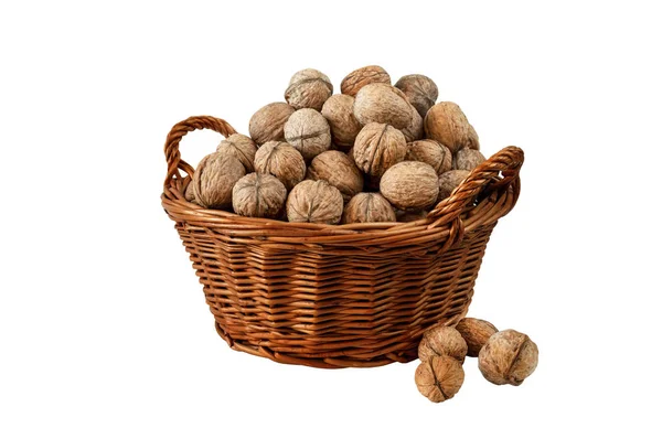 Ripe Walnuts Shell Basket Isolated White Background — Stock Photo, Image